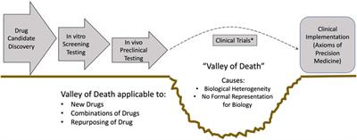 Specialty Grand Challenge: What it Will Take to Cross the Valley of Death: Translational Systems Biology, “True” Precision Medicine, Medical Digital Twins, Artificial Intelligence and In Silico Clinical Trials